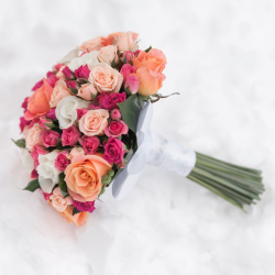 d37fc7813f641ce30307982b3803cd2a